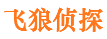 汝城外遇调查取证